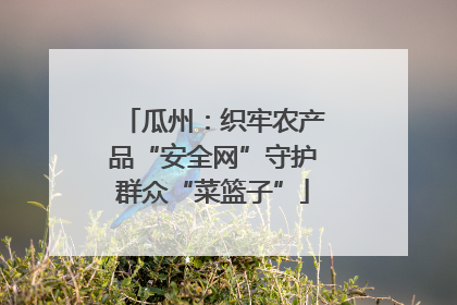 瓜州：织牢农产品“安全网”守护群众“菜篮子”