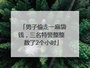 男子偷走一麻袋钱，三名特警整整数了2个小时