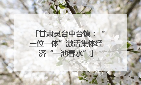 甘肃灵台中台镇：“三位一体”激活集体经济“一池春水”
