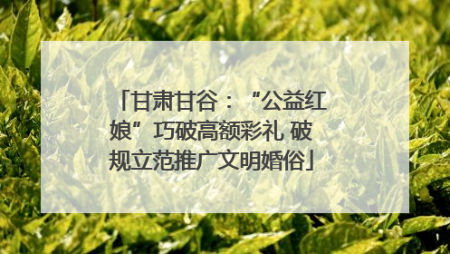 甘肃甘谷：“公益红娘”巧破高额彩礼 破规立范推广文明婚俗