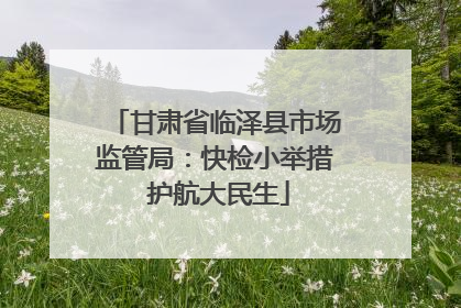 甘肃省临泽县市场监管局：快检小举措 护航大民生