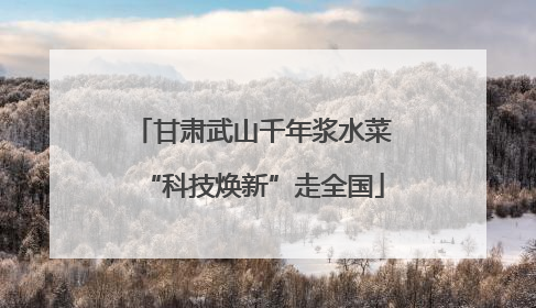 甘肃武山千年浆水菜“科技焕新”走全国