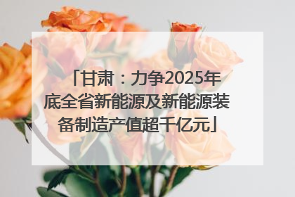 甘肃：力争2025年底全省新能源及新能源装备制造产值超千亿元