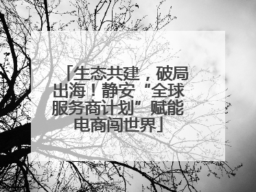 生态共建，破局出海！静安“全球服务商计划”赋能电商闯世界
