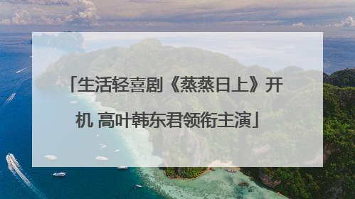 生活轻喜剧《蒸蒸日上》开机 高叶韩东君领衔主演