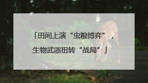 田间上演“虫粮博弈”，生物武器扭转“战局”