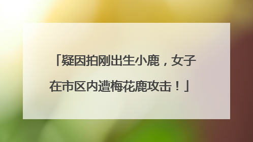 疑因拍刚出生小鹿，女子在市区内遭梅花鹿攻击！