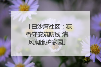 白沙湾社区：粽香守安筑防线 清风润廉护家园