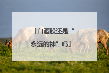 白酒股还是“永远的神”吗