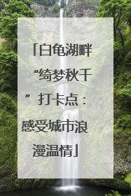 白龟湖畔“绮梦秋千”打卡点：感受城市浪漫温情