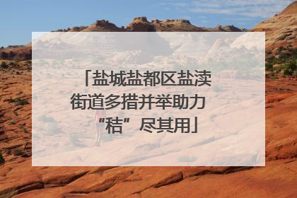 盐城盐都区盐渎街道多措并举助力“秸”尽其用