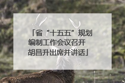 省“十五五”规划编制工作会议召开 胡昌升出席并讲话