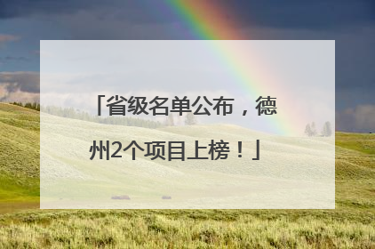 省级名单公布，德州2个项目上榜！