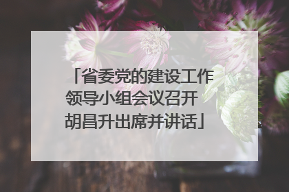 省委党的建设工作领导小组会议召开 胡昌升出席并讲话