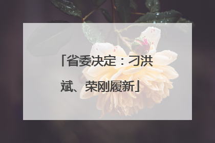省委决定：刁洪斌、荣刚履新