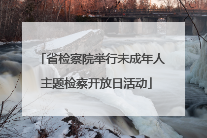 省检察院举行未成年人主题检察开放日活动