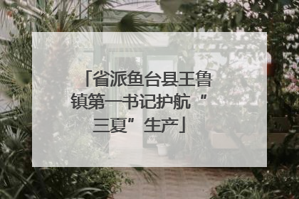 省派鱼台县王鲁镇第一书记护航“三夏”生产