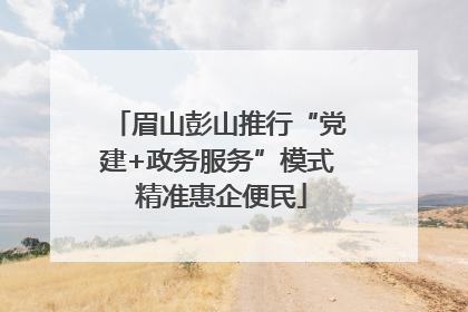 眉山彭山推行“党建+政务服务”模式 精准惠企便民