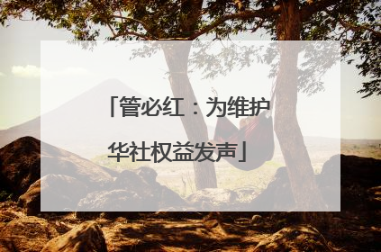 管必红：为维护华社权益发声