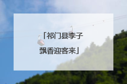 祁门县李子飘香迎客来
