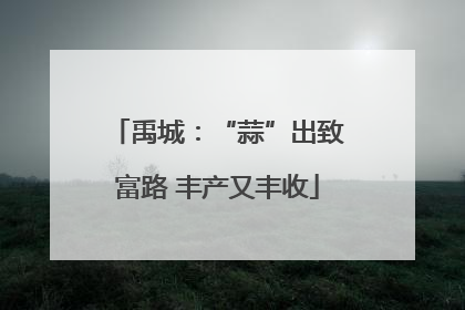 禹城：“蒜”出致富路 丰产又丰收