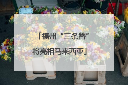福州“三条簪”将亮相马来西亚