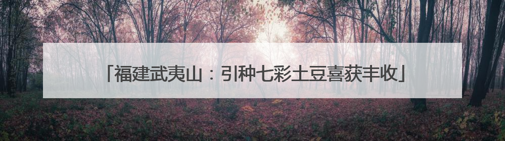 福建武夷山：引种七彩土豆喜获丰收