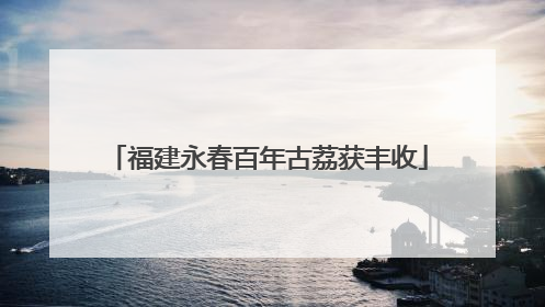 福建永春百年古荔获丰收
