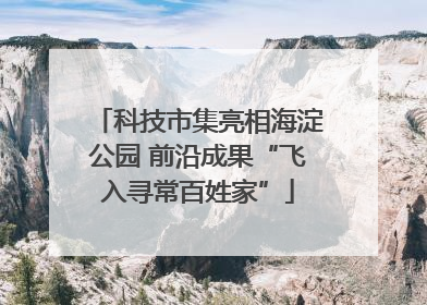 科技市集亮相海淀公园 前沿成果“飞入寻常百姓家”