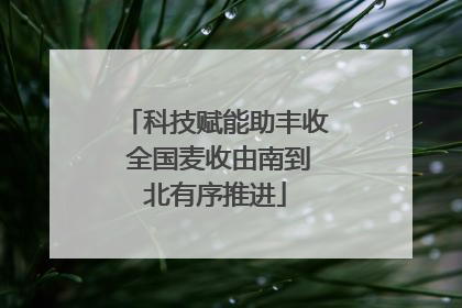 科技赋能助丰收 全国麦收由南到北有序推进