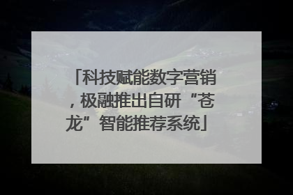 科技赋能数字营销，极融推出自研“苍龙”智能推荐系统