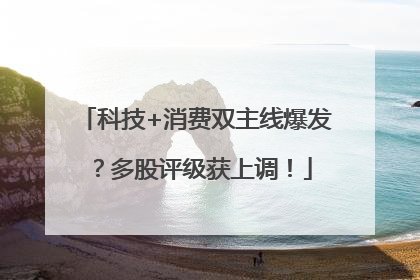 科技+消费双主线爆发？多股评级获上调！