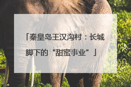 秦皇岛王汉沟村：长城脚下的“甜蜜事业”