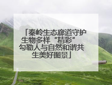 秦岭生态廊道守护生物多样“精彩” 勾勒人与自然和谐共生美好图景
