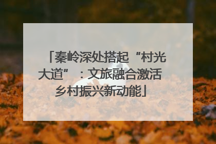 秦岭深处搭起“村光大道”：文旅融合激活乡村振兴新动能