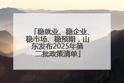 稳就业、稳企业、稳市场、稳预期，山东发布2025年第二批政策清单