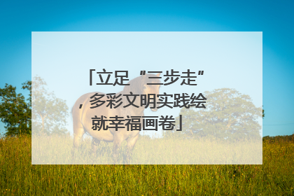 立足“三步走”，多彩文明实践绘就幸福画卷