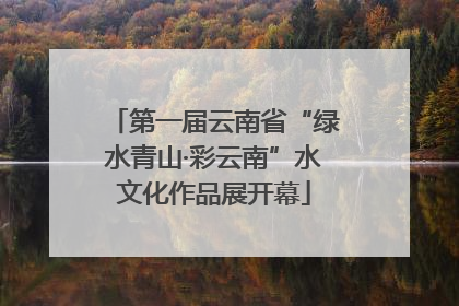 第一届云南省“绿水青山·彩云南”水文化作品展开幕