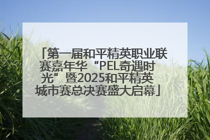 第一届和平精英职业联赛嘉年华“PEL奇遇时光”暨2025和平精英城市赛总决赛盛大启幕