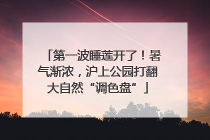 第一波睡莲开了！暑气渐浓，沪上公园打翻大自然“调色盘”