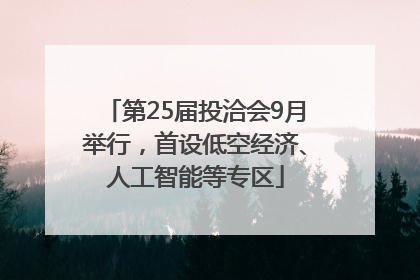 第25届投洽会9月举行，首设低空经济、人工智能等专区