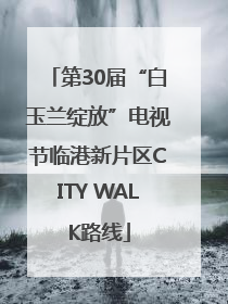 第30届“白玉兰绽放”电视节临港新片区CITY WALK路线