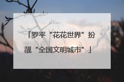 罗平“花花世界”扮靓“全国文明城市”