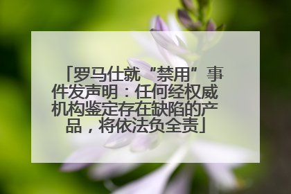 罗马仕就“禁用”事件发声明：任何经权威机构鉴定存在缺陷的产品，将依法负全责