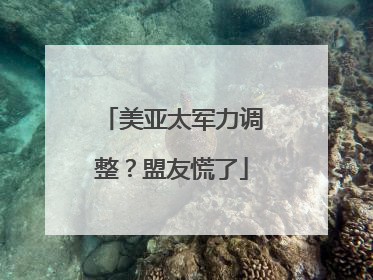 美亚太军力调整？盟友慌了