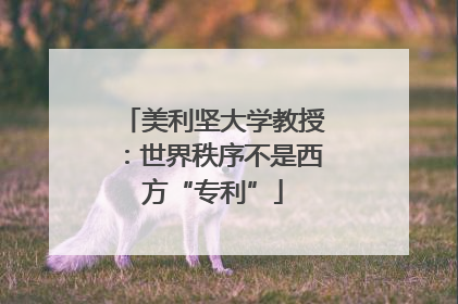 美利坚大学教授：世界秩序不是西方“专利”