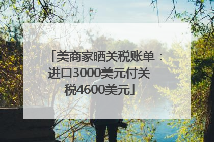 美商家晒关税账单：进口3000美元付关税4600美元
