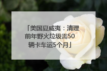 美国夏威夷：清理前年野火垃圾需50辆卡车运5个月
