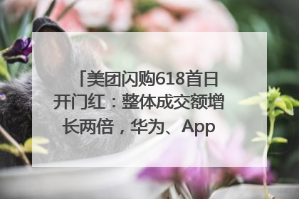 美团闪购618首日开门红：整体成交额增长两倍，华为、Apple、沃尔玛等近800个品牌翻倍增长