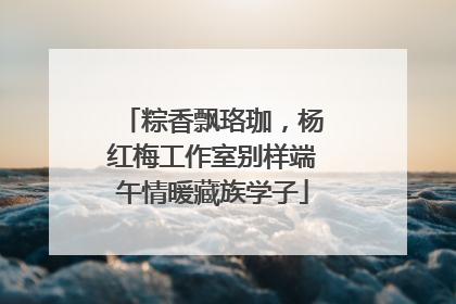 粽香飘珞珈，杨红梅工作室别样端午情暖藏族学子